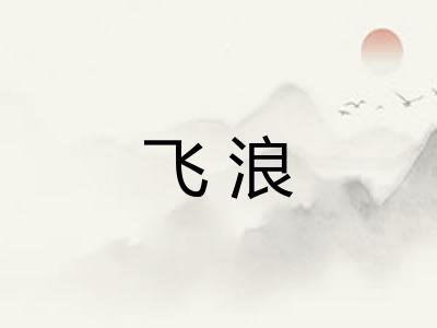 飞浪