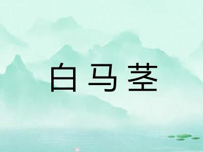 白马茎
