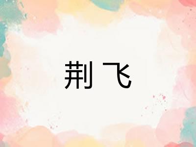荆飞 荆飞