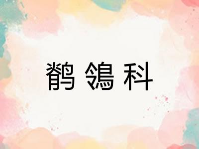 鹡鴒科
