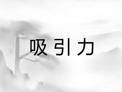 吸引力 吸引力