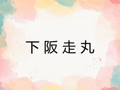 下阪走丸