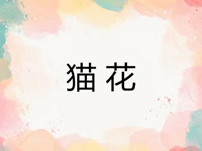 猫花