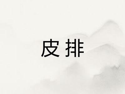 皮排