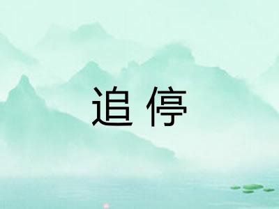 追停