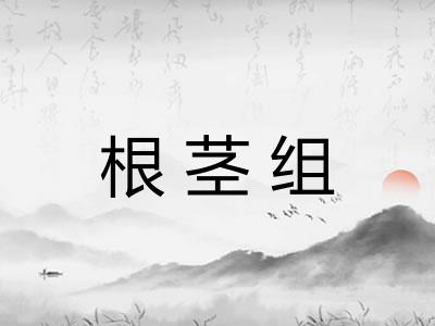 根茎组