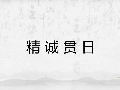 精诚贯日 精诚贯日