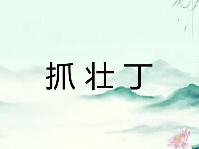 抓壮丁