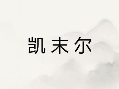 凯末尔 凯末尔