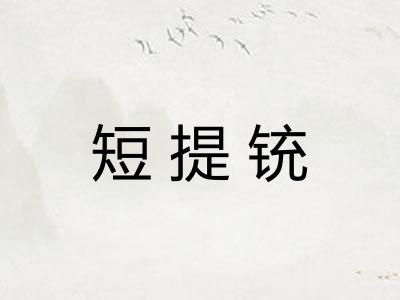 短提铳