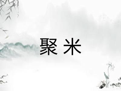 聚米
