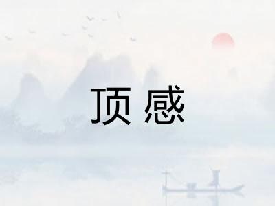 顶感 顶感