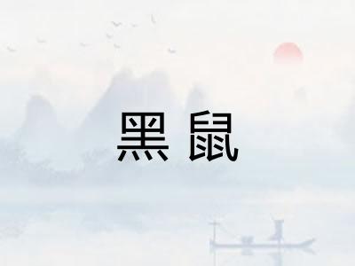 黑鼠