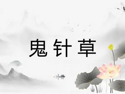 鬼针草