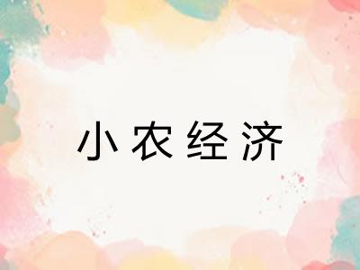 小农经济