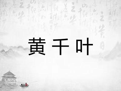 黄千叶