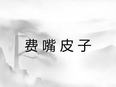费嘴皮子