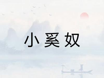 小奚奴