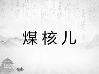 煤核儿