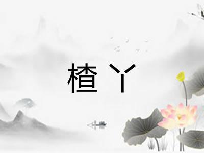 楂丫