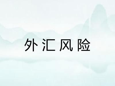 外汇风险