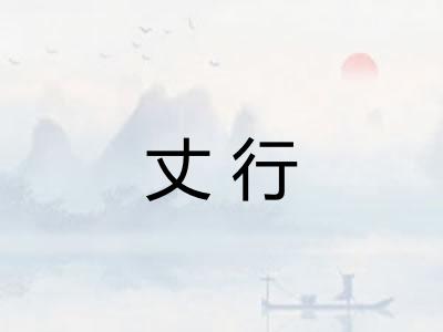 丈行