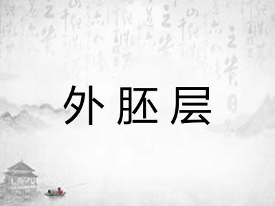 外胚层 外胚层