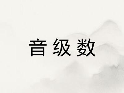 音级数