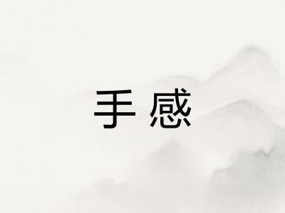 手感