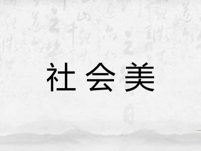 社会美