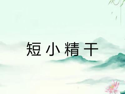 短小精干 短小精干