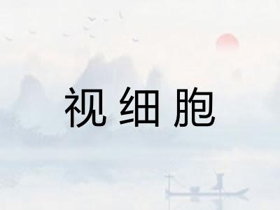视细胞
