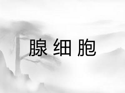 腺细胞 腺细胞