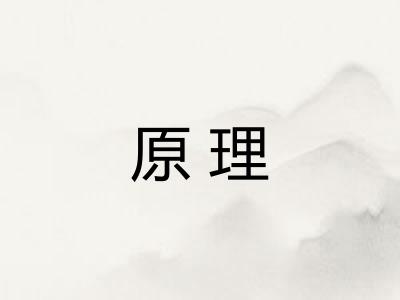 原理