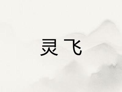 灵飞