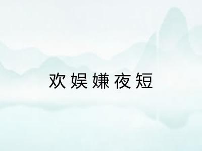 欢娱嫌夜短