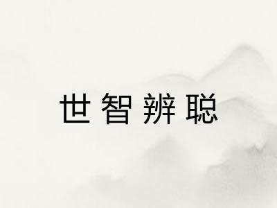 世智辨聪