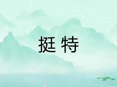 挺特
