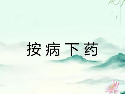 按病下药