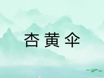 杏黄伞