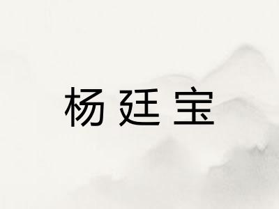 杨廷宝
