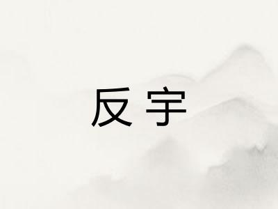 反宇
