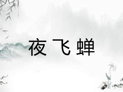 夜飞蝉 夜飞蝉