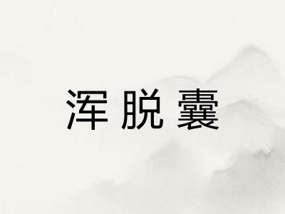 浑脱囊
