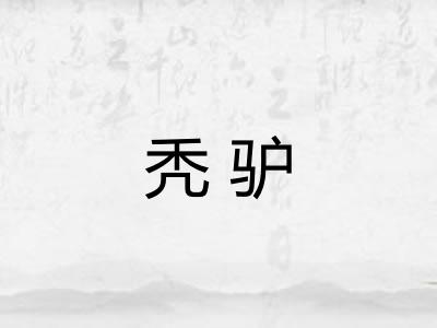 秃驴 秃驴
