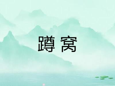蹲窝