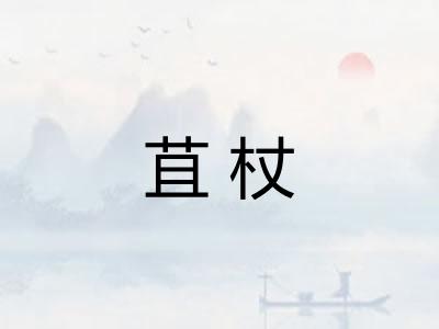 苴杖