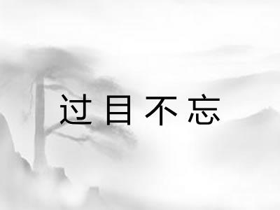 过目不忘