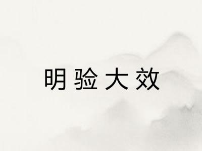 明验大效