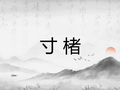 寸楮
